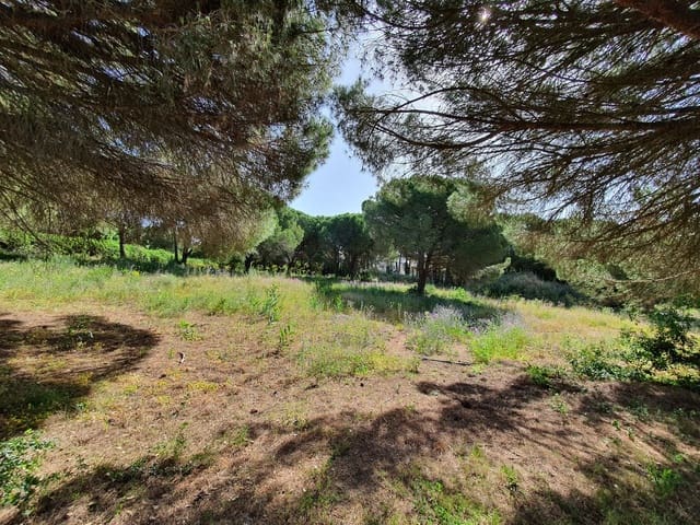 Building Plot for sale in Sotogrande, San Roque - € 3,500,000 (Ref: 9077183)