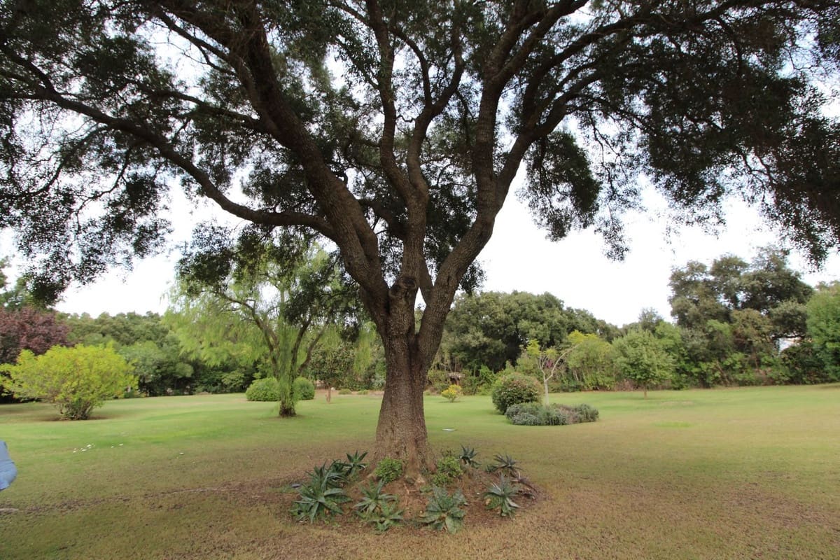 5 sypialnia Willa na sprzedaż w Sotogrande z garażem - 1 850 000 € (Ref: 9077192)