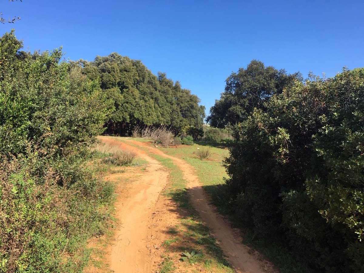 Byggetomt til salgs i Manilva - € 2 200 000 (Ref: 9077208)