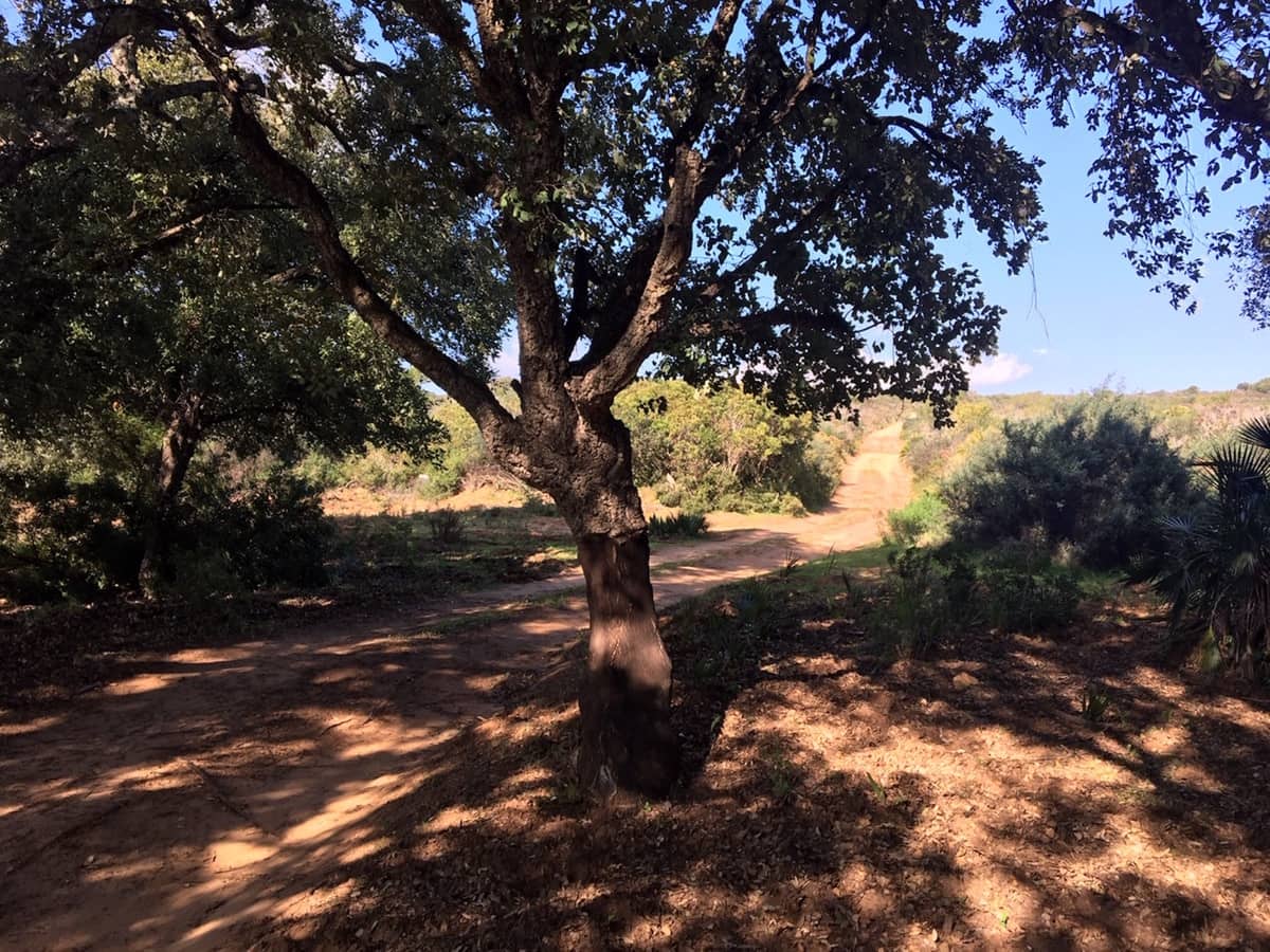 Byggetomt til salgs i Manilva - € 2 200 000 (Ref: 9077208)