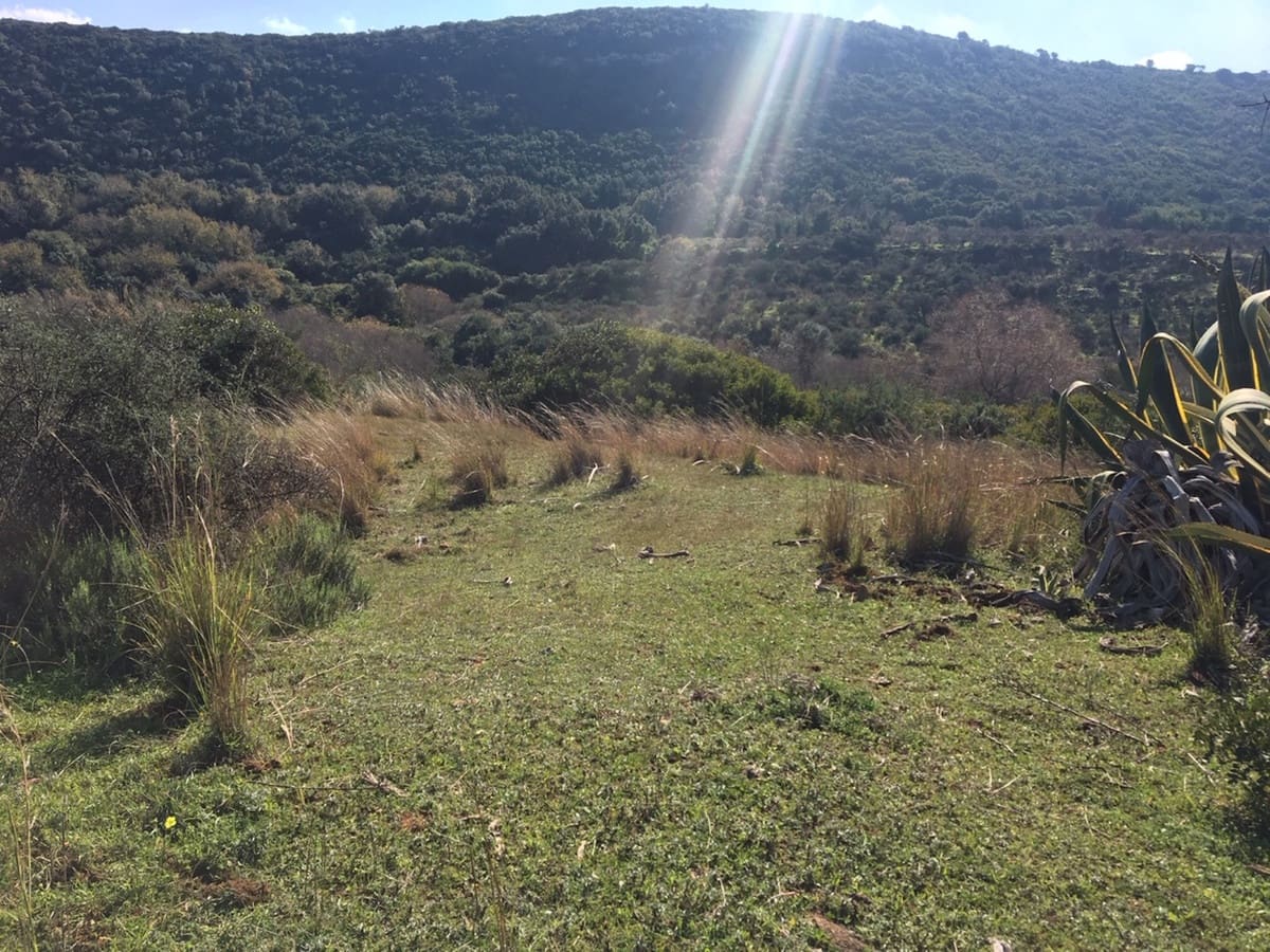 Byggetomt til salgs i Manilva - € 2 200 000 (Ref: 9077208)