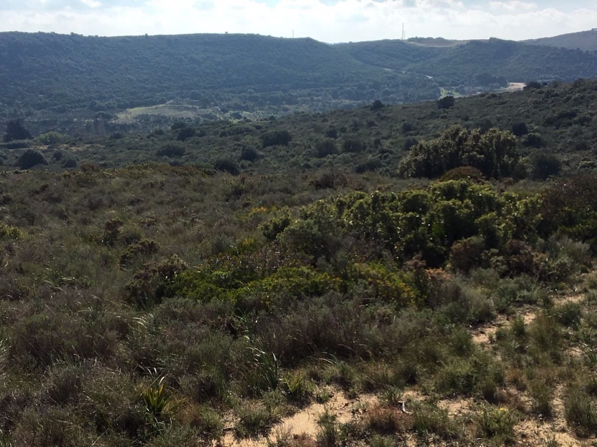 Byggetomt til salgs i Manilva - € 2 200 000 (Ref: 9077208)