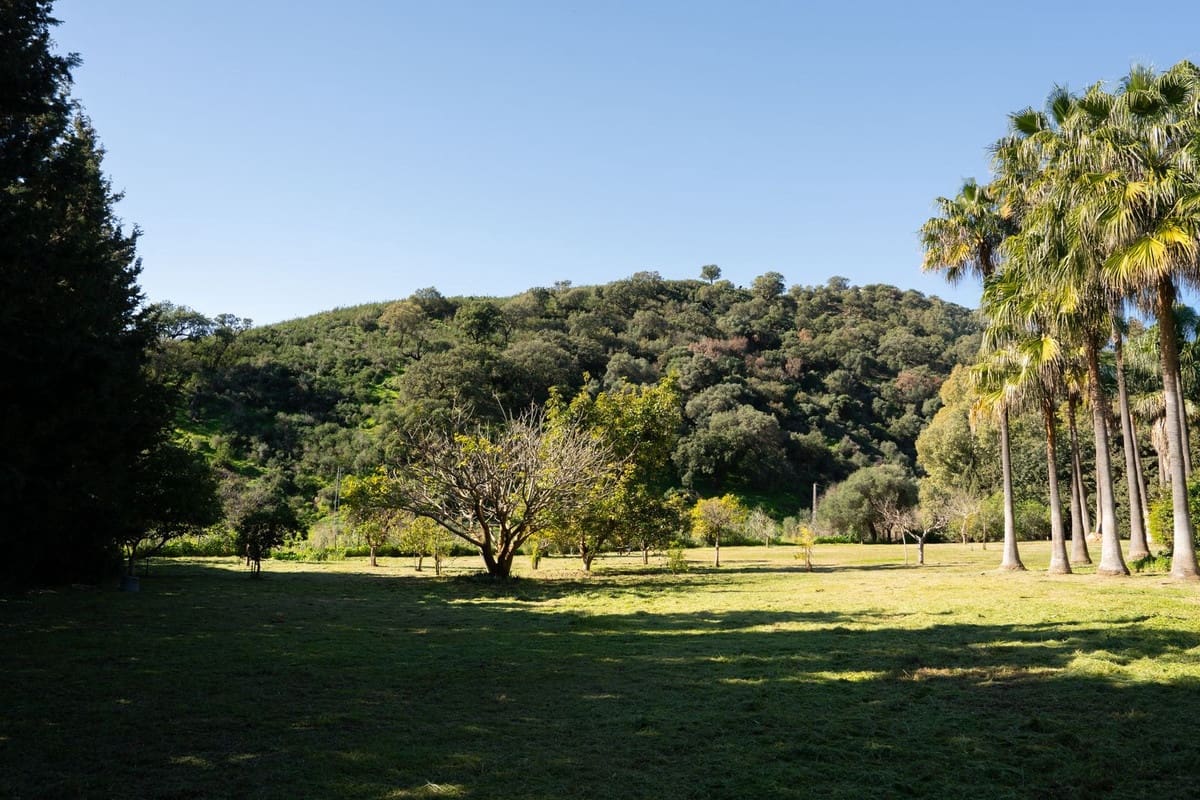 4 soverom Villa til salgs i Casares - € 1 450 000 (Ref: 9077212)