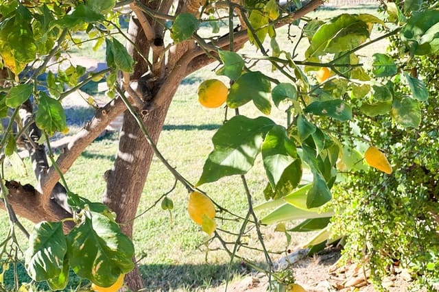 Chalet de 4 habitaciones en Estepona en venta - 1.800.000 € (Ref: 9077387)