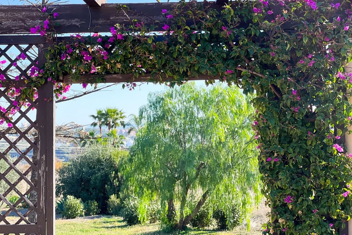 Chalet de 4 habitaciones en Estepona en venta - 1.800.000 € (Ref: 9077387)