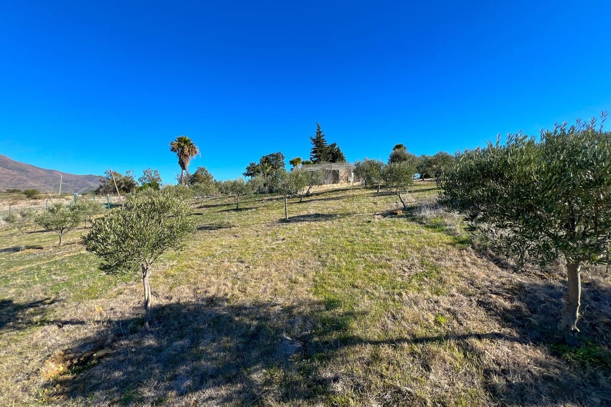 Chalet de 4 habitaciones en Estepona en venta - 1.800.000 € (Ref: 9077387)