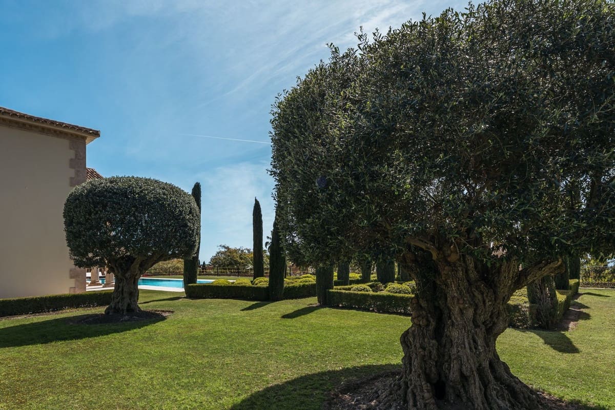 7 chambre Villa/Maison à vendre à Golden Mile avec garage - 13 000 000 € (Ref: 9080903)