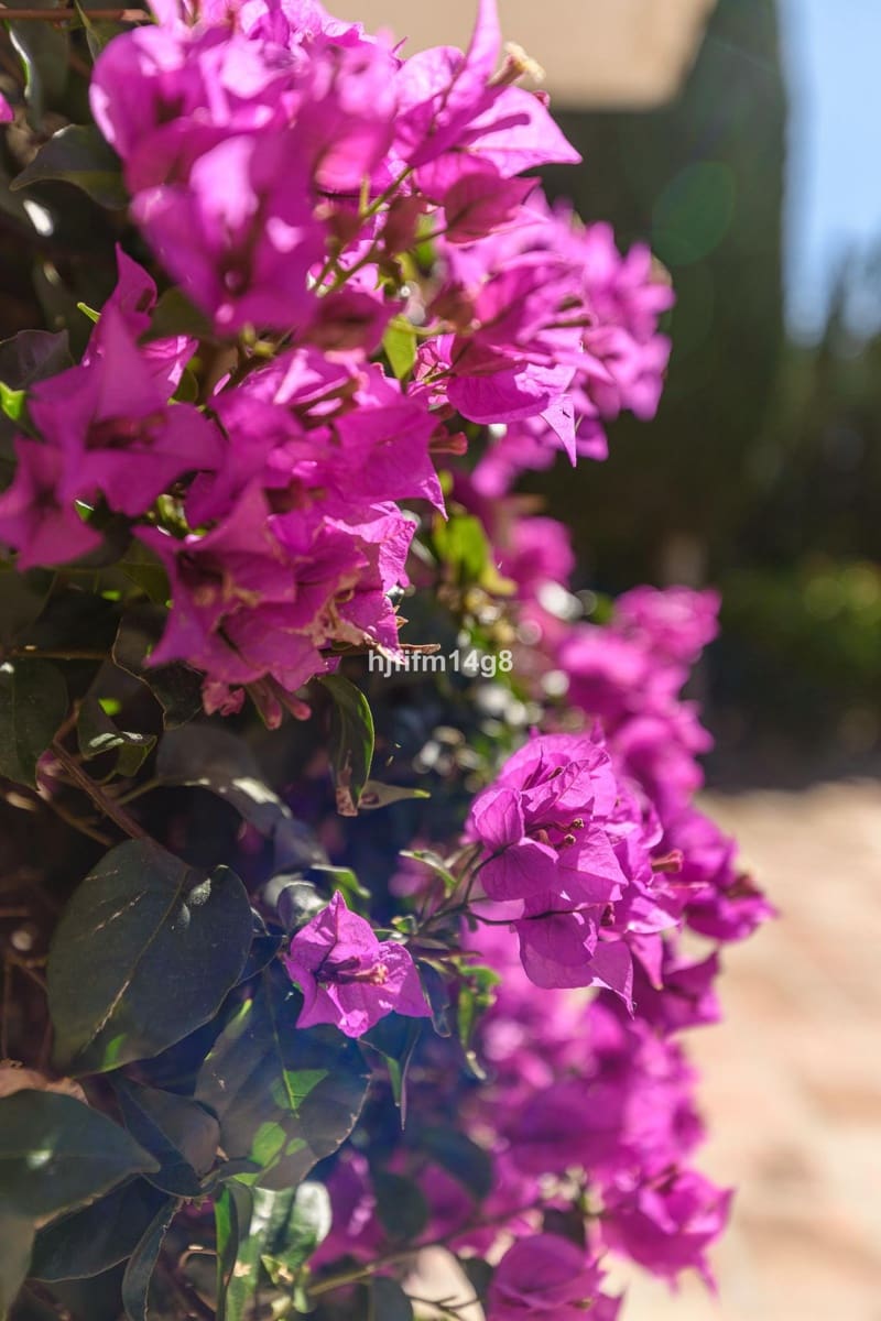 5 soveværelse Villa til salg i Nueva Andalucia - € 1.695.000 (Ref: 9080949)