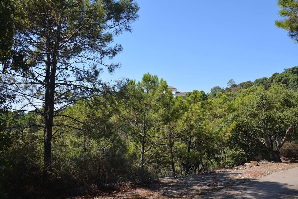 4 bedroom Villa for sale in Benahavis with garage - € 7,300,000 (Ref: 9131721)