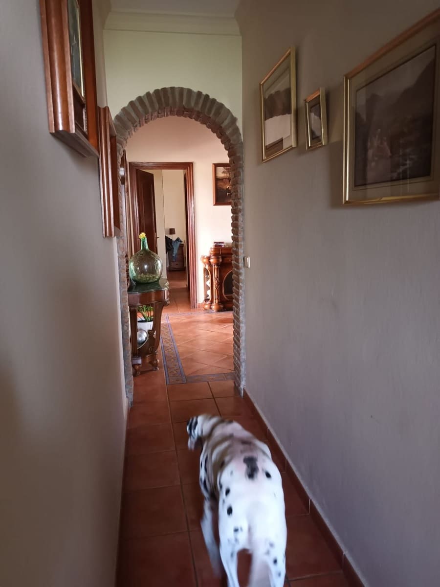 7 slaapkamer Villa te koop in Cancelada - € 1.500.000 (Ref: 9144532)