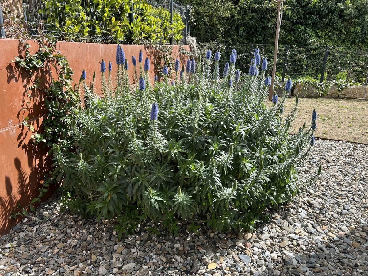 4 bedroom Villa for sale in Fuengirola - € 1,795,000 (Ref: 9145007)