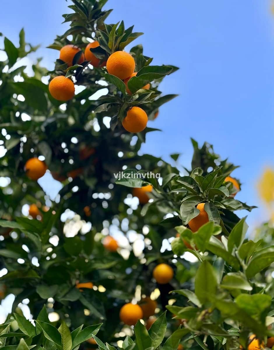 Chalet de 6 habitaciones en Benalmádena en venta con garaje - 2.200.000 € (Ref: 9145054)