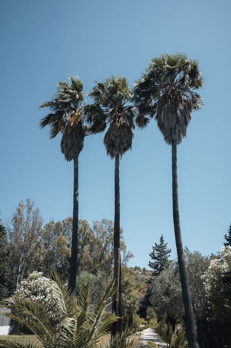 10 soveværelse Erhverv til salg i Alhaurin el Grande - € 1.395.000 (Ref: 9145091)