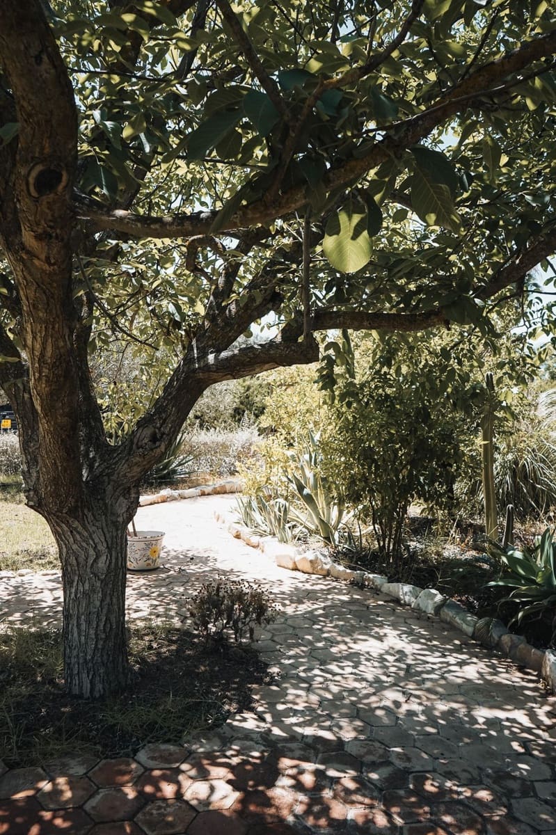 10 soveværelse Erhverv til salg i Alhaurin el Grande - € 1.395.000 (Ref: 9145091)