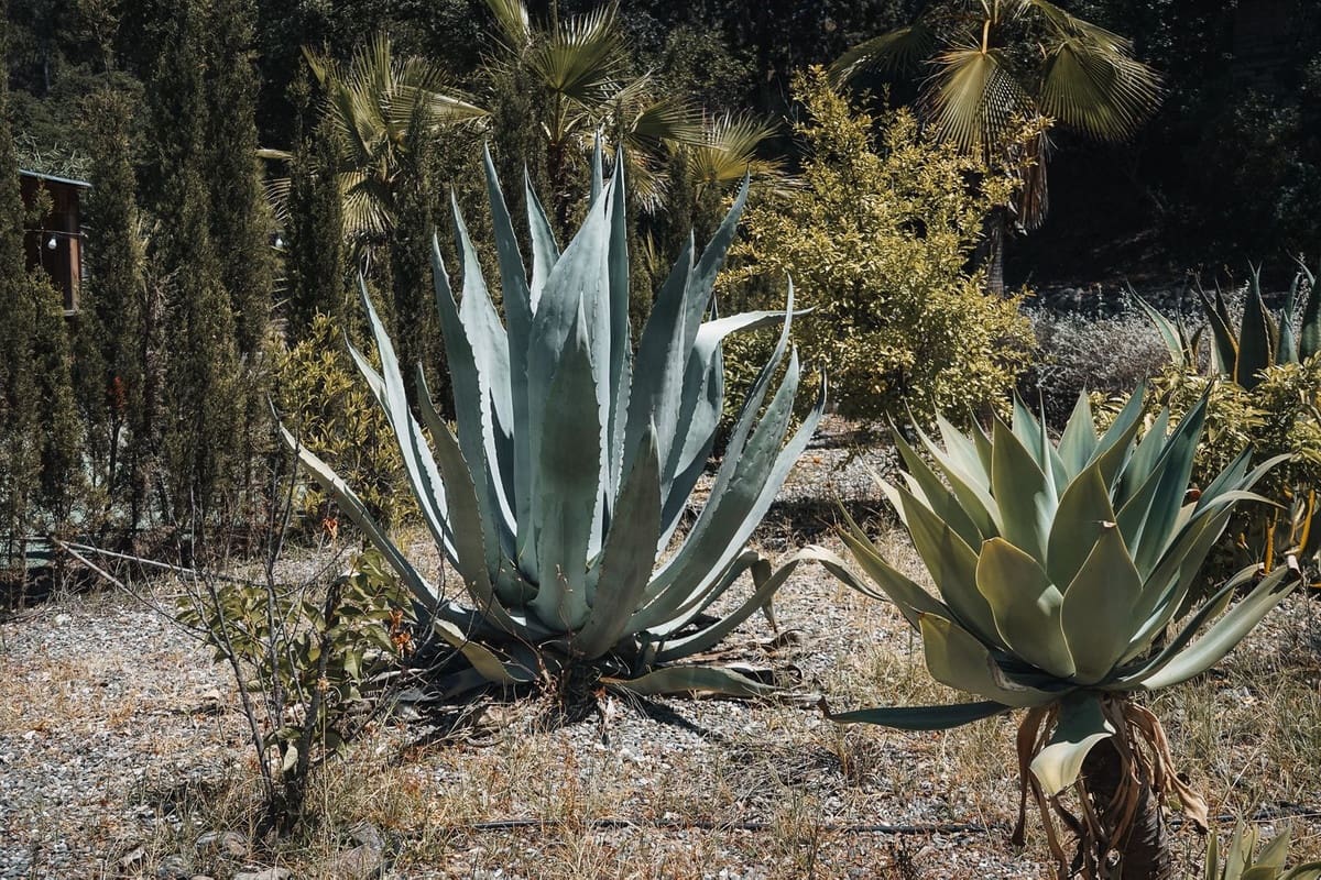 10 soveværelse Erhverv til salg i Alhaurin el Grande - € 1.395.000 (Ref: 9145091)