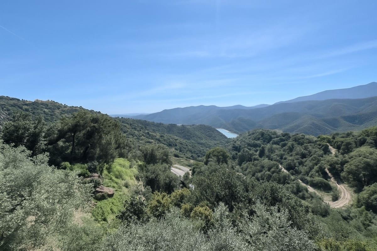 4 soveværelse Villa til salg i Istan - € 1.600.000 (Ref: 9153473)