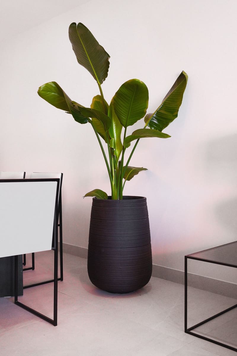 3 bedroom Apartment for sale in San Pedro de Alcantara - € 848,800 (Ref: 9204091)