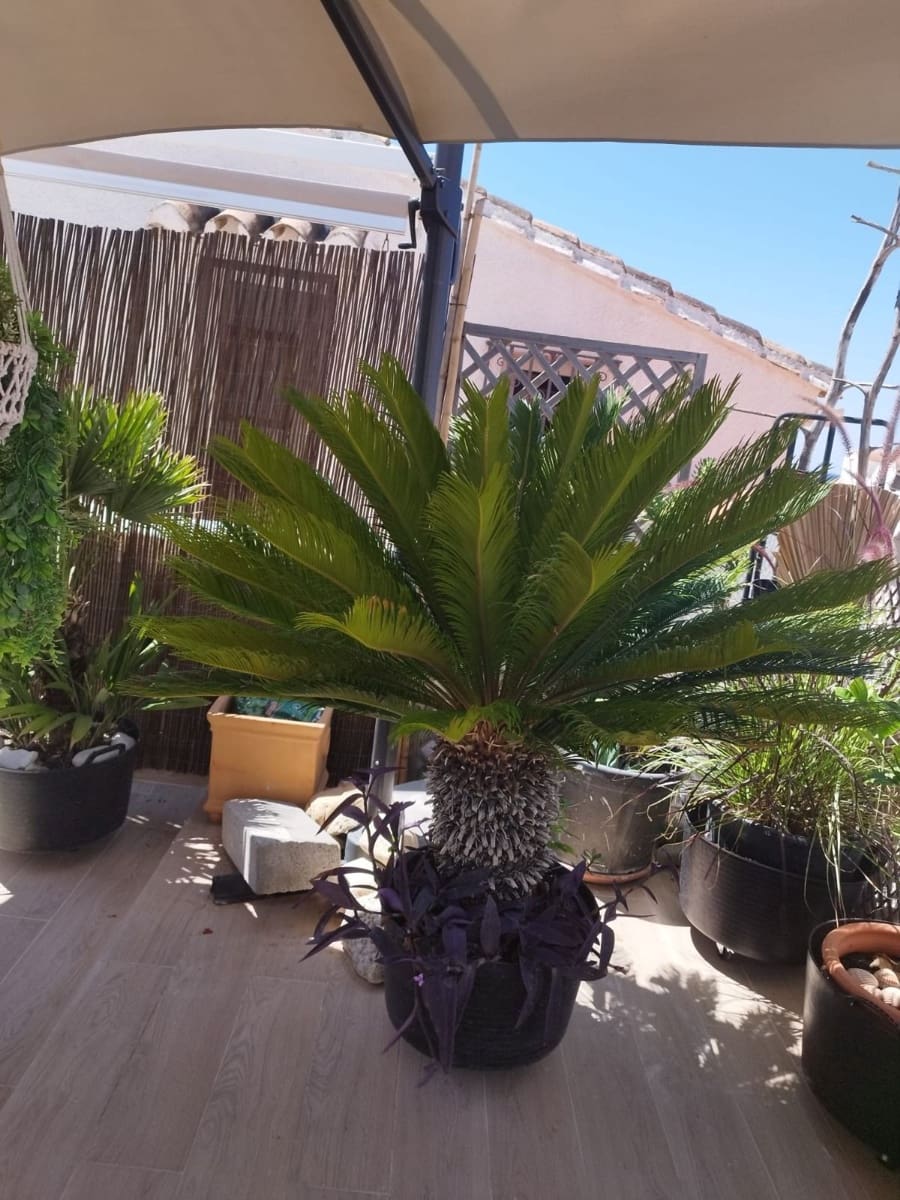 Casa de 3 habitaciones en Estepona en venta - 845.000 € (Ref: 9524842)