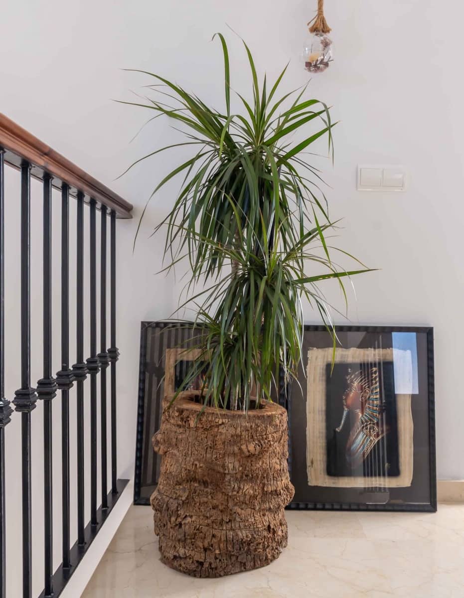 4 soveværelse Villa til salg i New Golden Mile med garage - € 1.299.000 (Ref: 9524865)