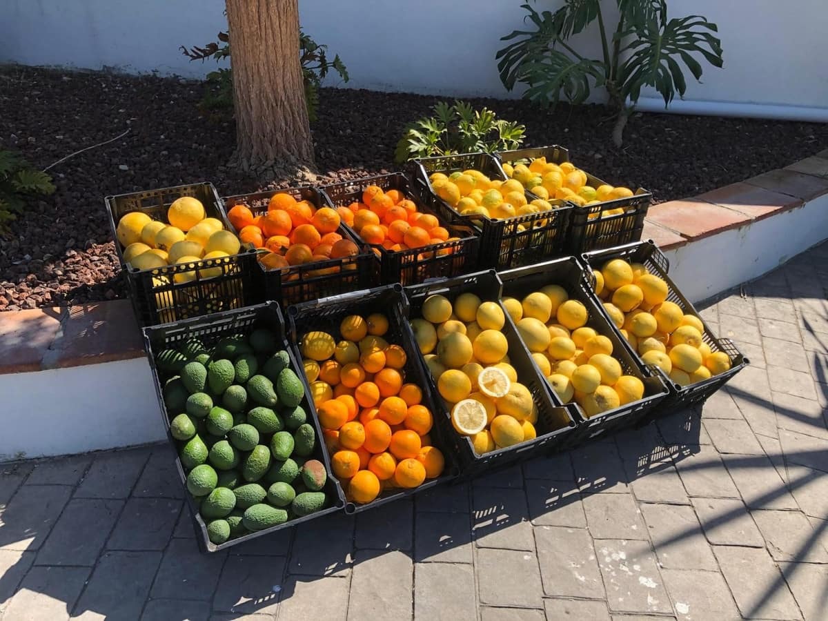 4 bedroom Villa for sale in New Golden Mile - € 1,495,000 (Ref: 9524870)