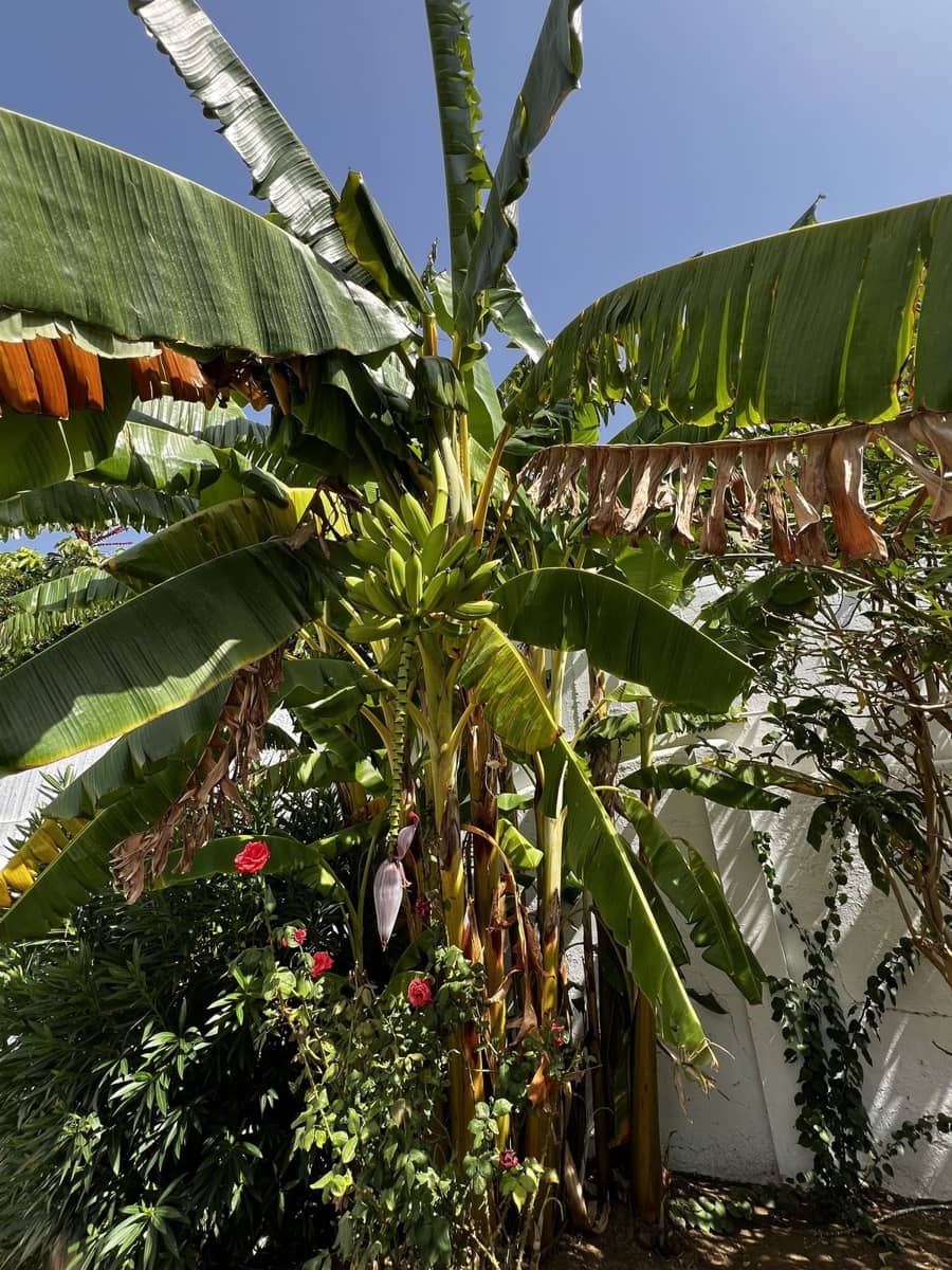 5 soverom Villa til salgs i Estepona med garasje - € 1 925 000 (Ref: 9524886)