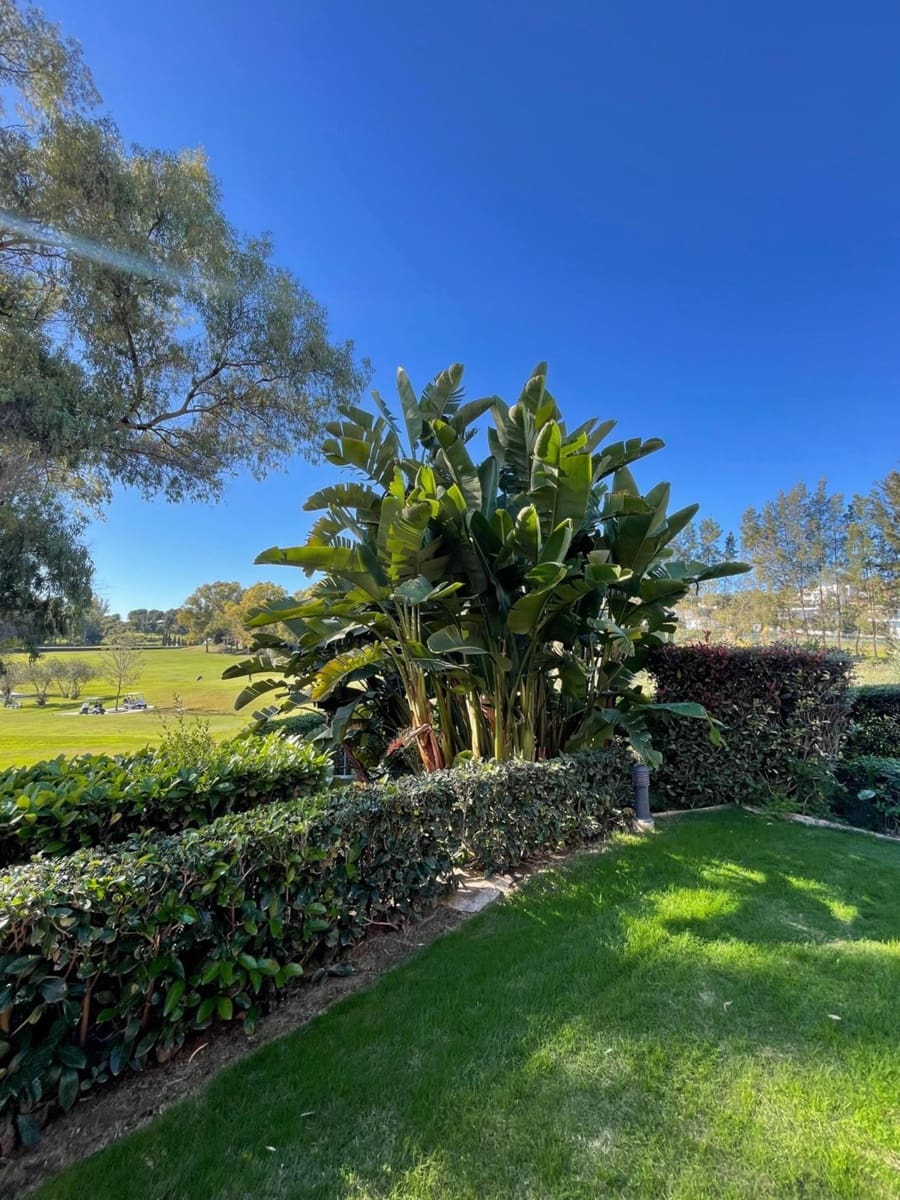 Apartamento de 2 habitaciones en Estepona en venta - 500.000 € (Ref: 9524909)