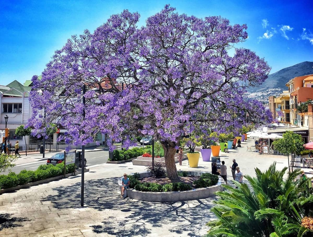 4 sypialnia Apartament na sprzedaż w Benalmadena z basenem garażem - 1 150 000 € (Ref: 9997801)