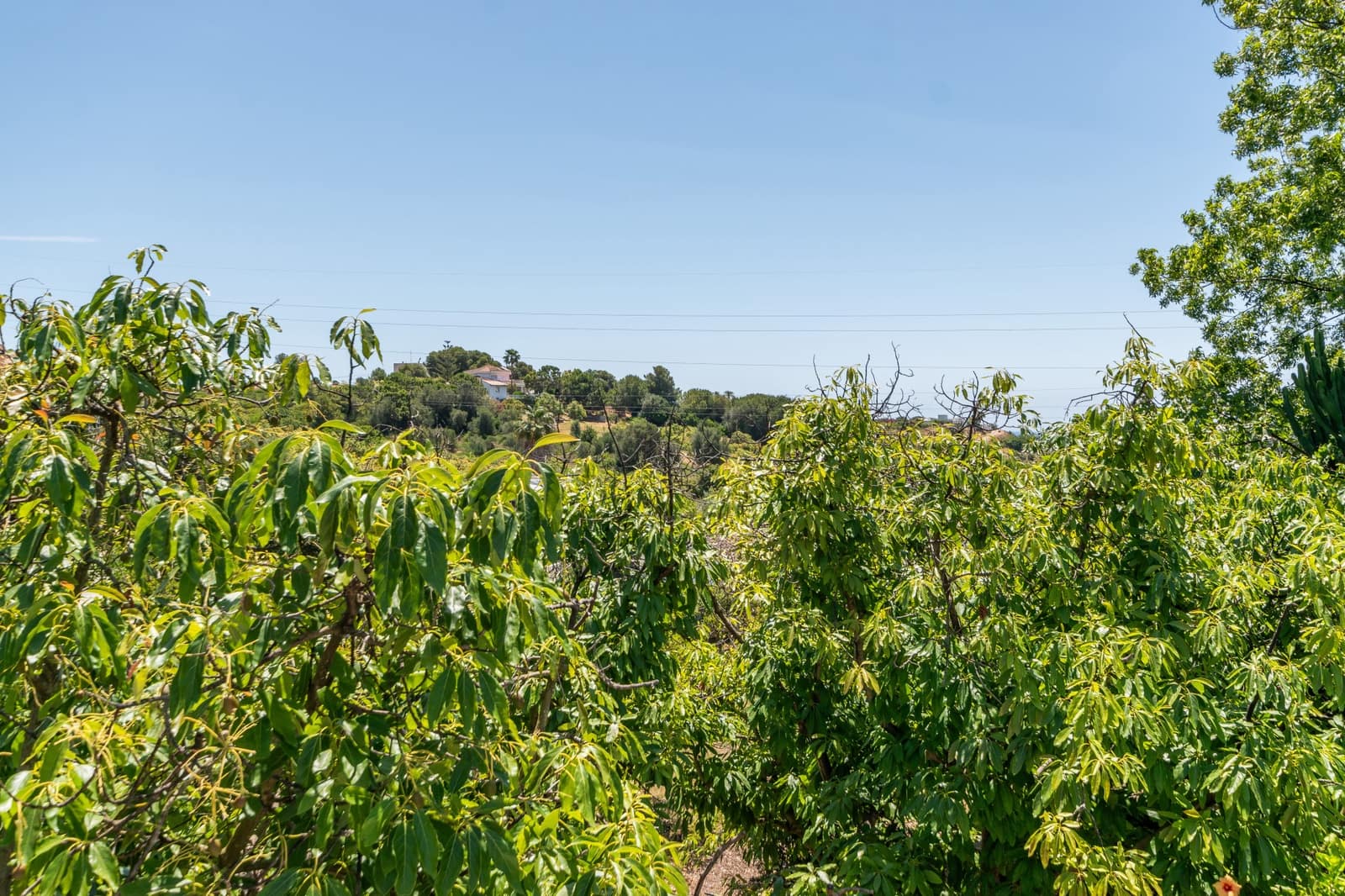 3 quarto Quinta/Casa Rural para venda em Estepona com garagem - 499 000 € (Ref: 8353976)