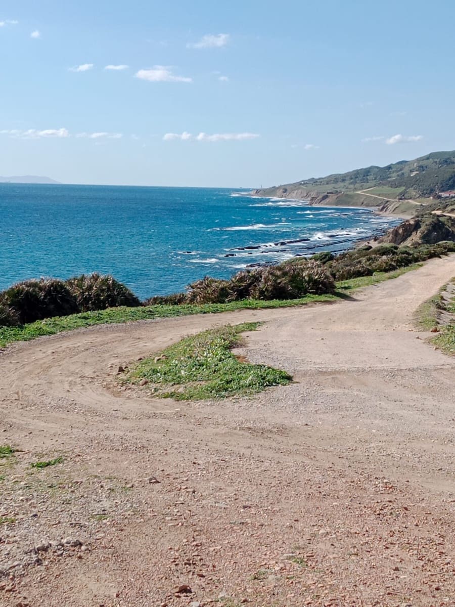 Terrain à Bâtir à vendre à Tarifa - 715 000 € (Ref: 9059280)