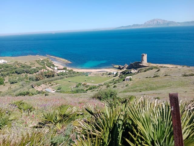 Bouwgrond te koop in Tarifa - € 715.000 (Ref: 9059280)