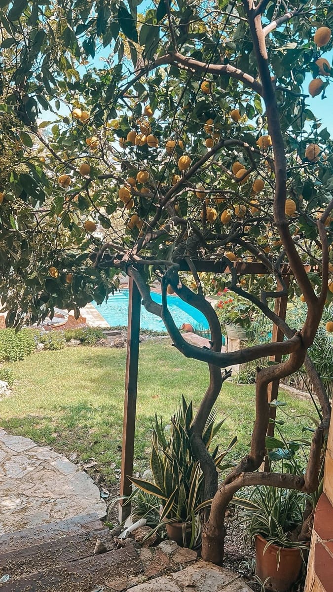 5 soveværelse Villa til salg i Nueva Andalucia med swimmingpool garage - € 1.600.000 (Ref: 9344631)