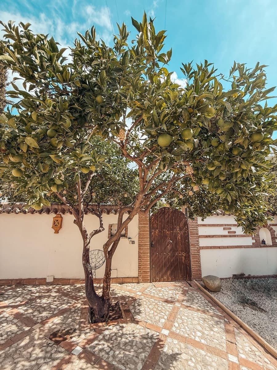 5 soveværelse Villa til salg i Nueva Andalucia med swimmingpool garage - € 1.600.000 (Ref: 9344631)