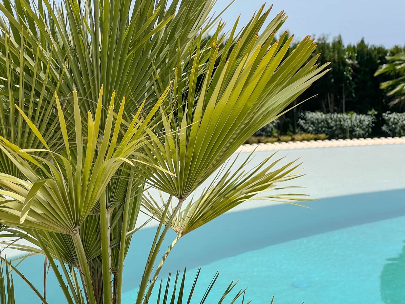 5 soveværelse Villa til salg i La Zagaleta med swimmingpool garage - € 9.400.000 (Ref: 9508667)