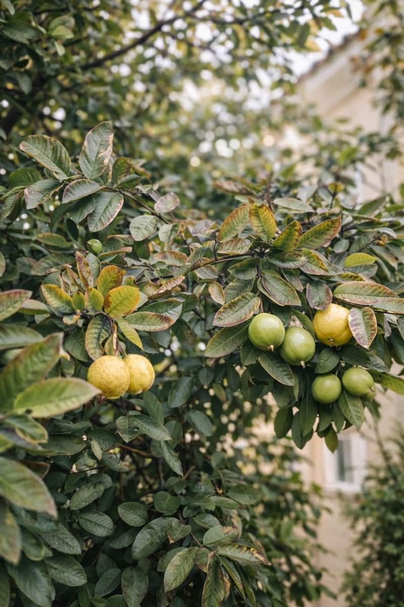 Apartamento de 3 habitaciones en Nueva Andalucia en venta con piscina - 419.900 € (Ref: 9591098)