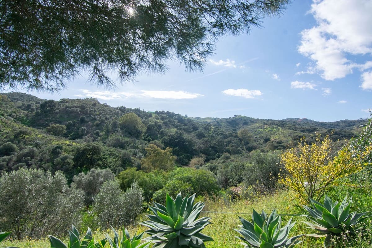 3 bedroom Finca/Country House for sale in La Cala Golf - € 795,000 (Ref: 10021766)