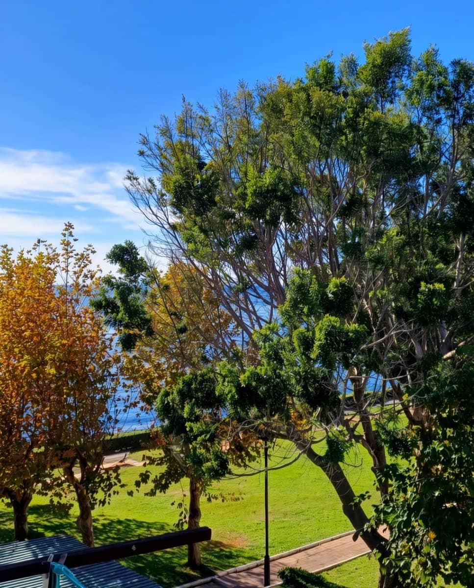 Studio zu verkaufen in Estepona - 189.000 € (Ref: 10046083)