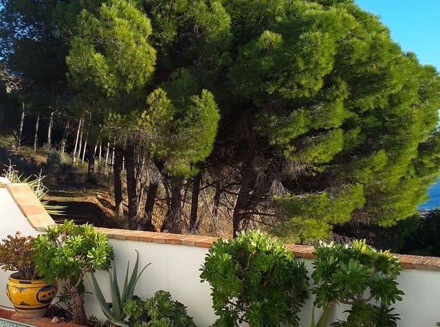 3 sypialnia Dom na sprzedaż w Mijas - 480 000 € (Ref: 10061147)