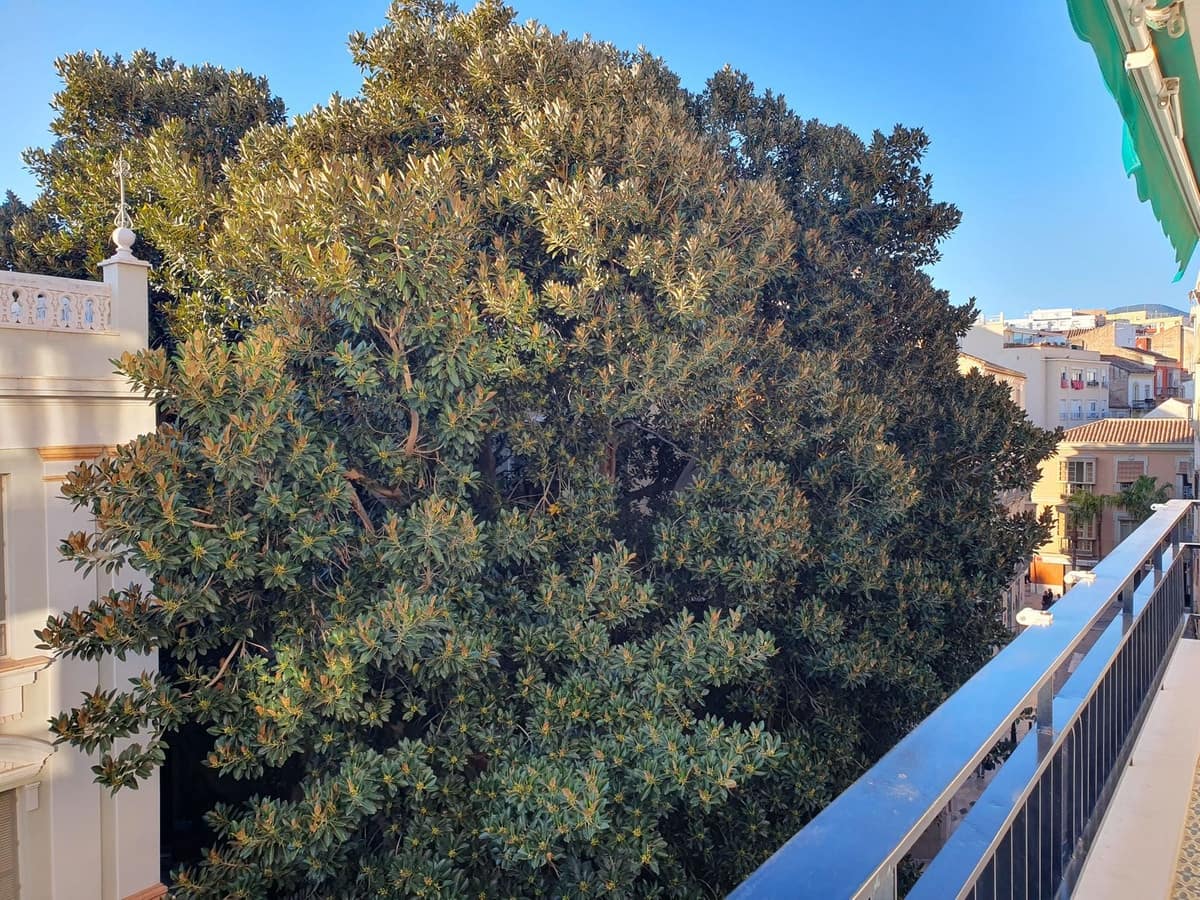 3 sovrum Lägenhet till salu i Malaga stad - 790 000 € (Ref: 10082227)