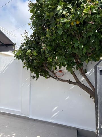3 chambre Bungalow à vendre à Costabella, Marbella - 315 000 € (Ref: 10099605)