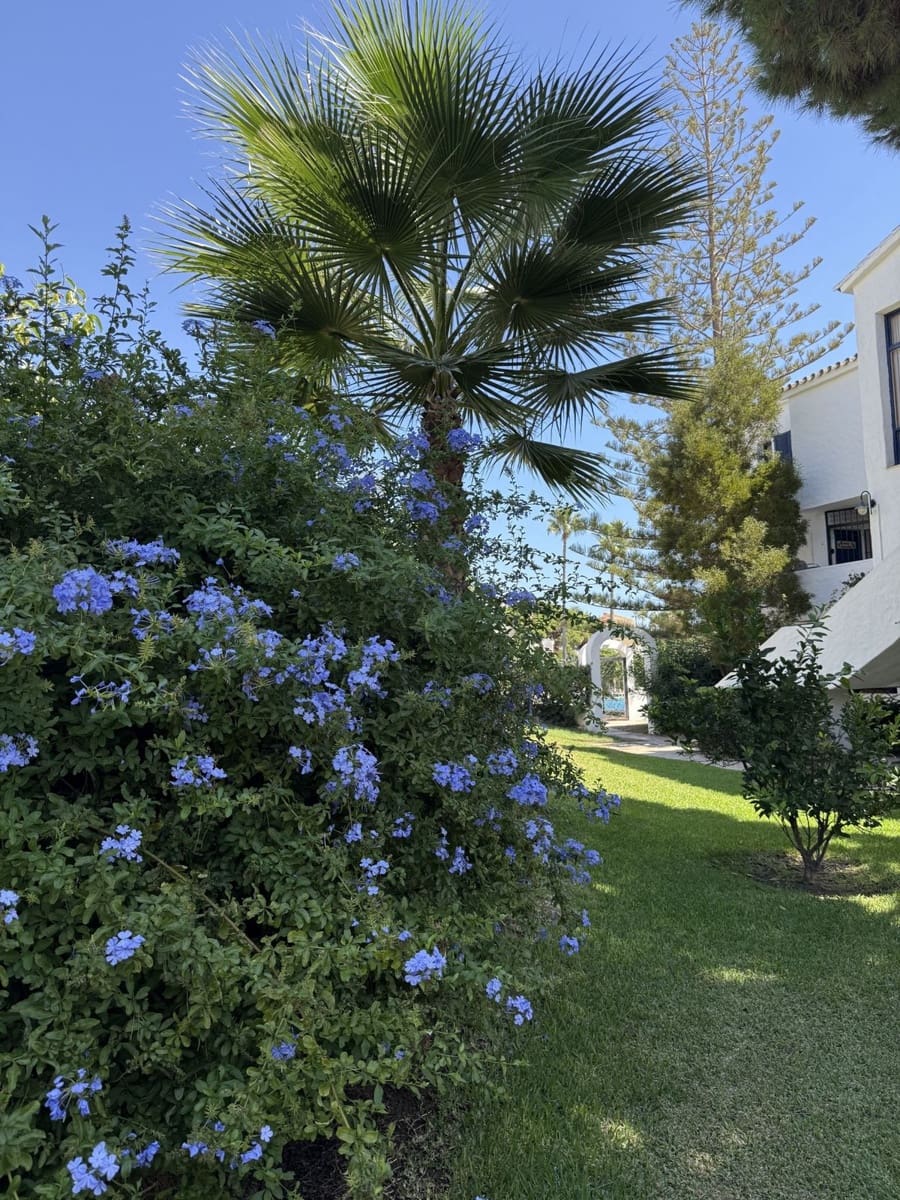 2 bedroom Townhouse for sale in Calahonda with pool - € 479,000 (Ref: 10160846)