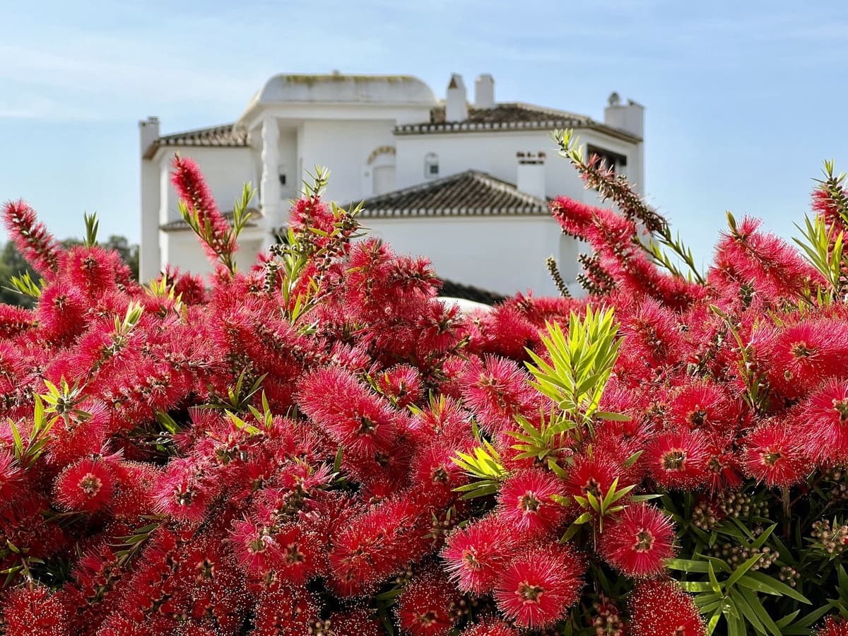 Apartamento de 1 habitación en Marbella en venta con piscina - 280.000 € (Ref: 9356926)