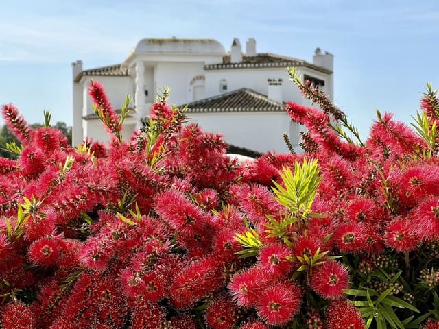 Apartamento de 1 habitación en Elviria - Cabopino, Marbella en venta con piscina - 280.000 € (Ref: 9356926)