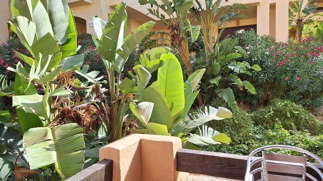 3 makuuhuone Huoneisto myytävänä paikassa La Duquesa / Puerto de la Duquesa, Manilva mukana uima-altaan 
autotalli - 295 000 € (Ref: 9387062)