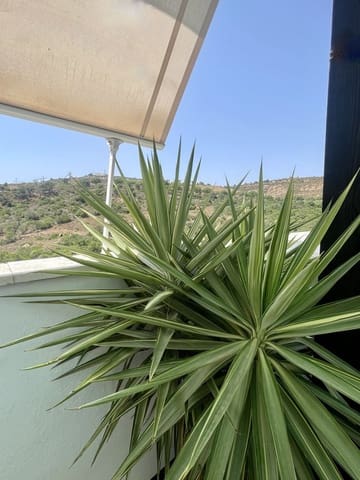 2 soverom Penthouse til salgs i Manilva med svømmebasseng garasje - € 290 000 (Ref: 9443026)