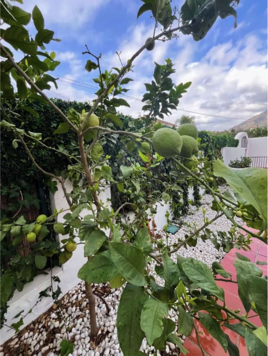 3 camera da letto Villa in vendita in Golden Mile con piscina garage - 1.800.000 € (Rif: 9465731)