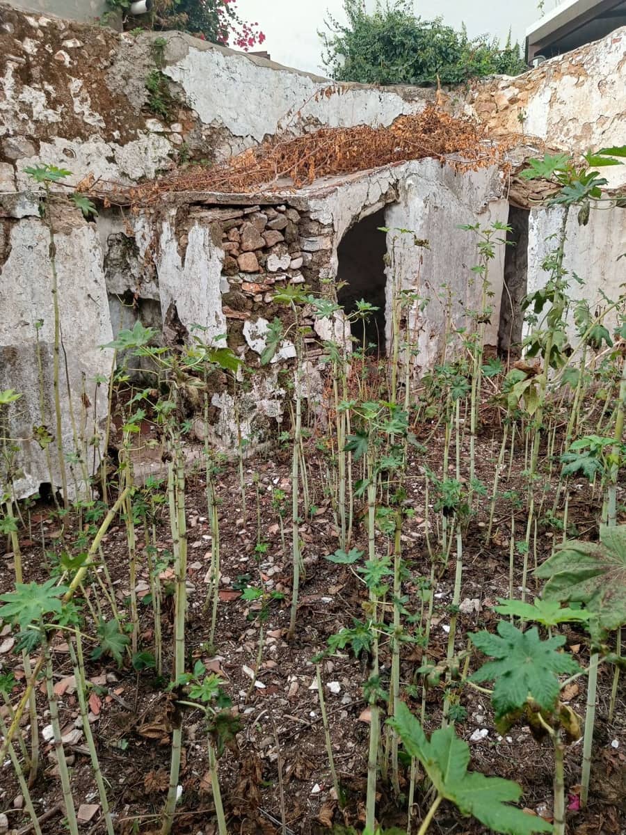 5 camera da letto Villetta Bifamiliare in vendita in Mijas - 730.000 € (Rif: 9550018)