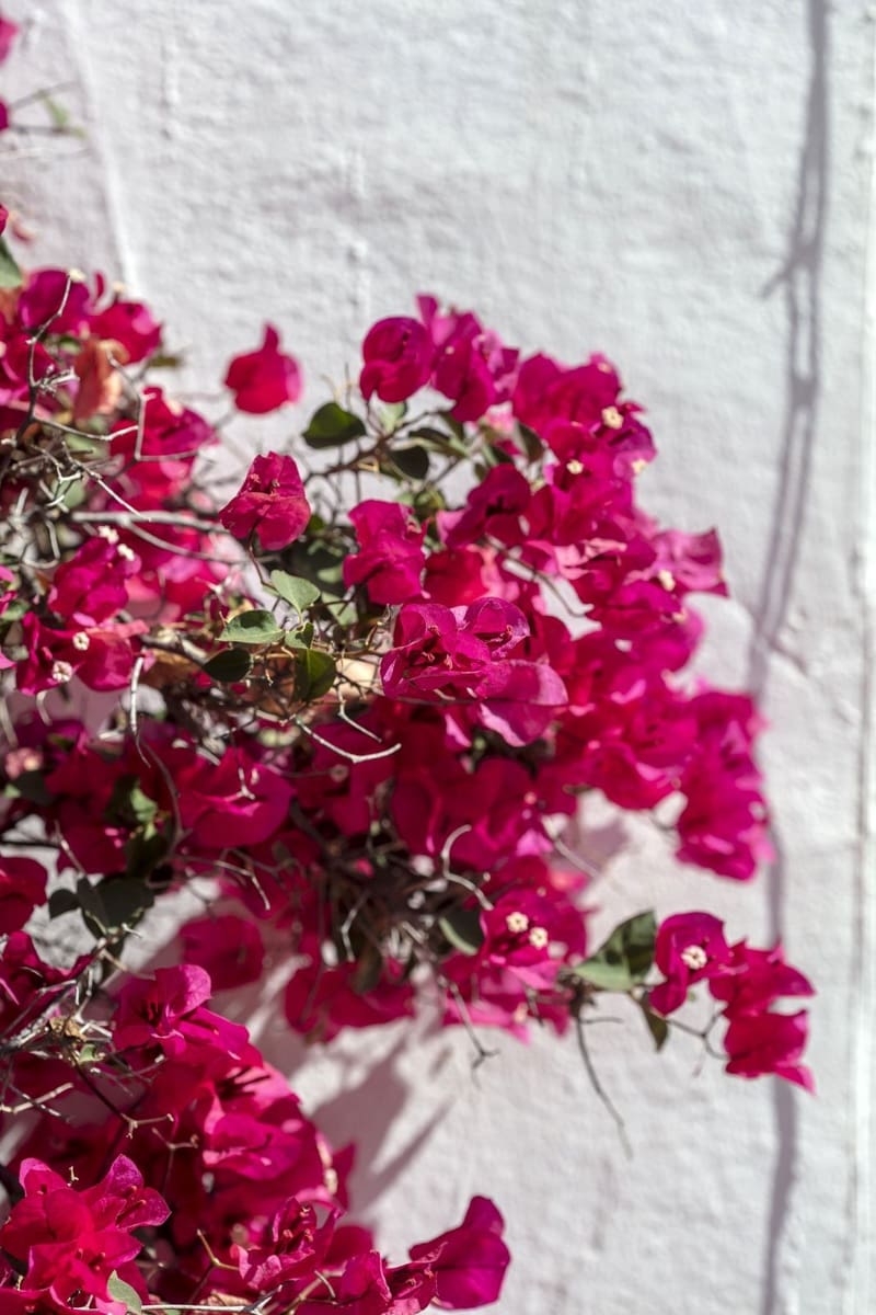 2 bedroom Apartment for sale in Nueva Andalucia with pool garage - € 520,000 (Ref: 9551983)