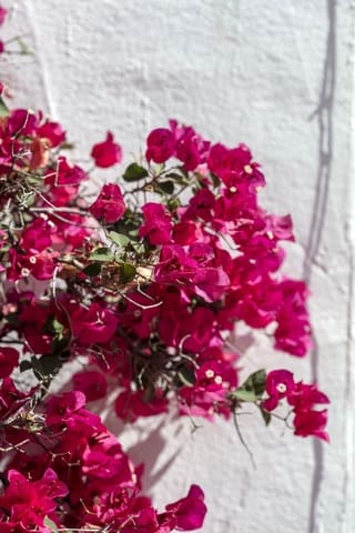 2 bedroom Apartment for sale in Nueva Andalucia, Marbella with pool garage - € 520,000 (Ref: 9551983)