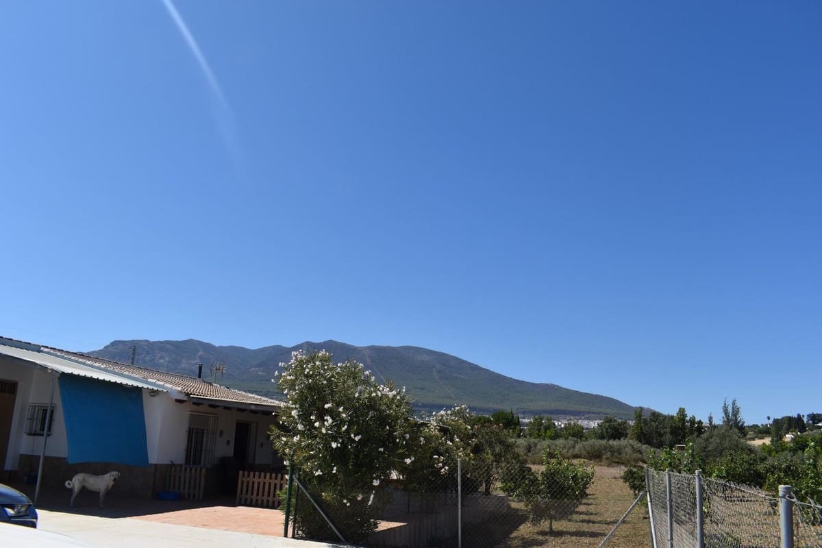 Finca/Casa Rural de 2 habitaciones en Alhaurín el Grande en venta con piscina garaje - 490.000 € (Ref: 9566661)