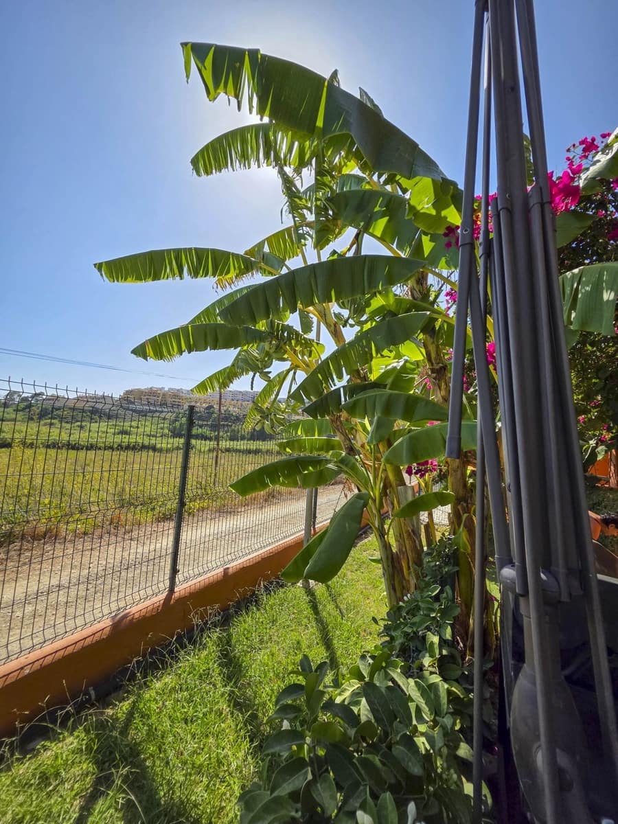 3 slaapkamer Appartement te koop in La Duquesa / Puerto de la Duquesa met zwembad garage - € 499.000 (Ref: 9580304)